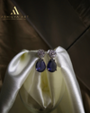 Elegant AD Stone Drop Earrings